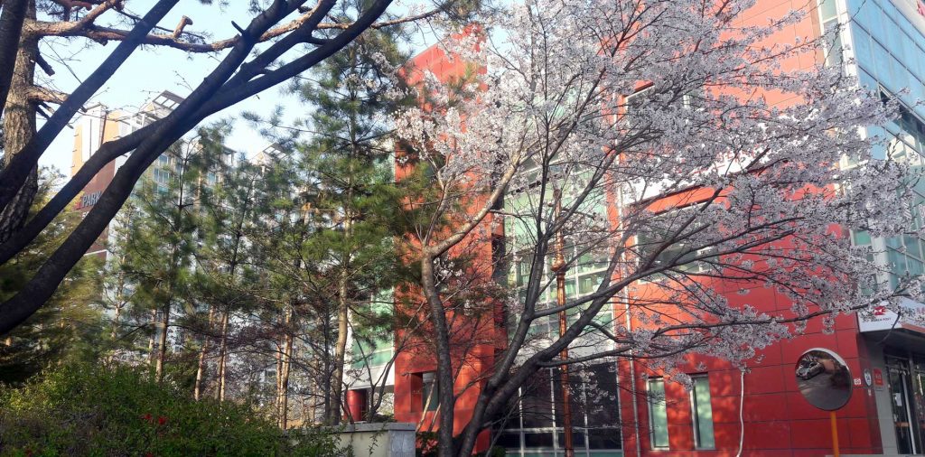 고양풍산동우체국