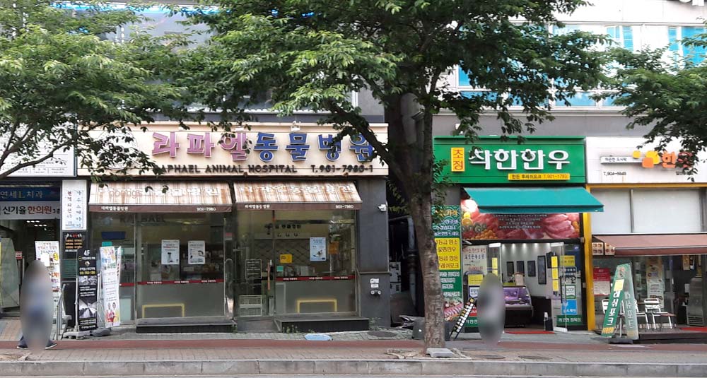 라파엘동물병원