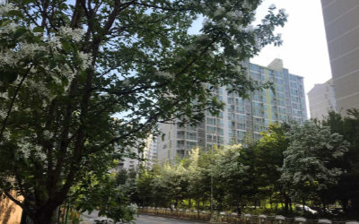 숲속마을4단지 주공아파트