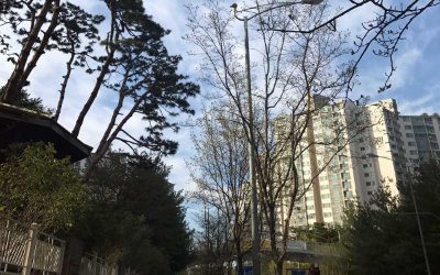 숲속마을7단지 주공아파트