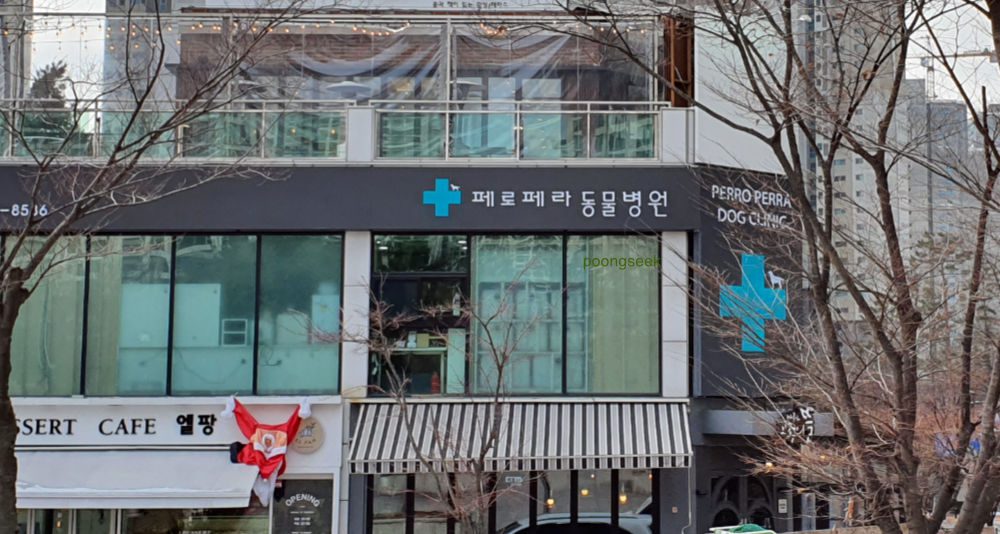 페로페라동물병원