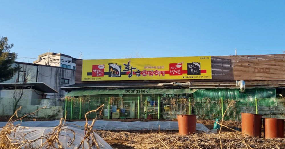 황금코다리 일산애니골점