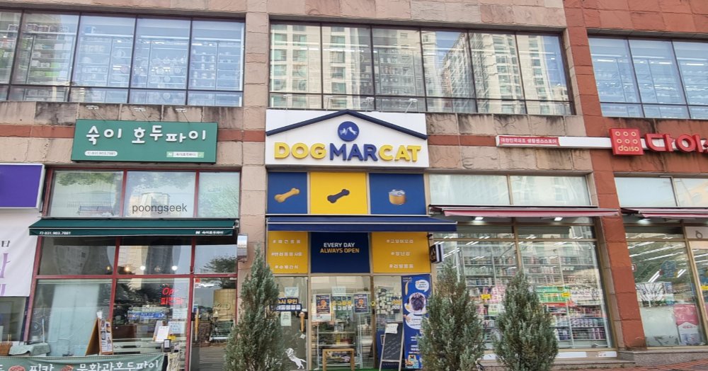 도그마캣 일산식사점