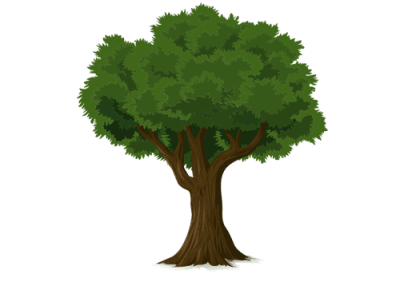 tree tree